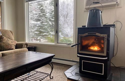 Secluded Au Sable River Home - Foto 25