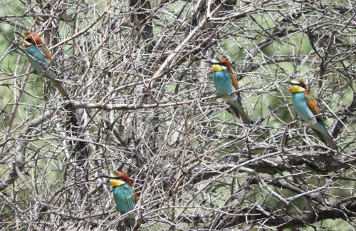 Orne Magical Retreat - Foto 46