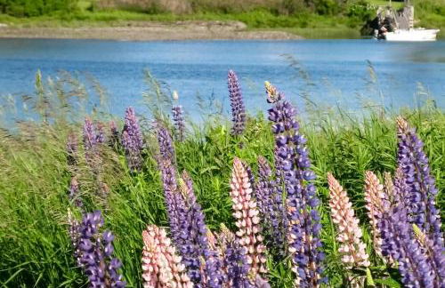 The SeaMeadow - Foto 26