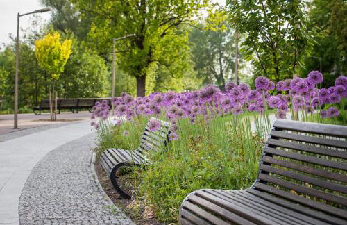 Lazur Lake - Foto 26