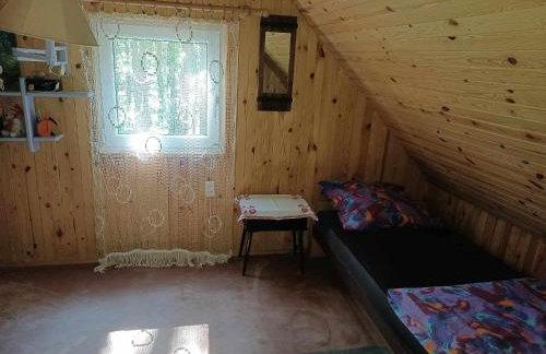 Wilga - urokliwy dom z bala (50 km od Warszawy) - Foto 15