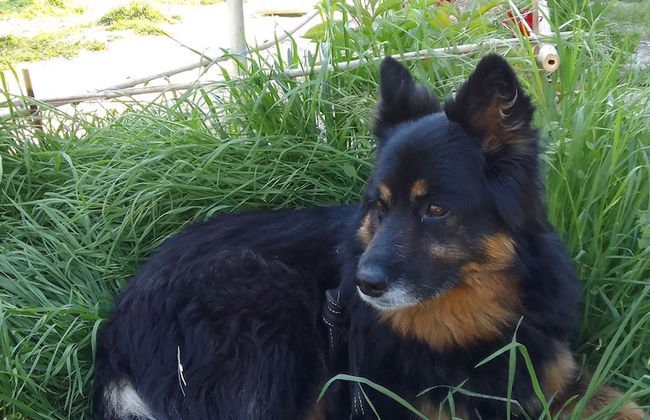 Les Favouilles, le gîte pour 15 personnes - Foto 108