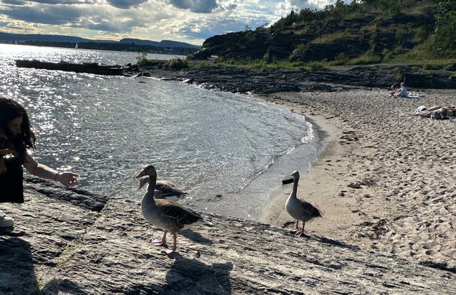 Excursión a las islas de Lindøya y Hovedøya - Foto 7