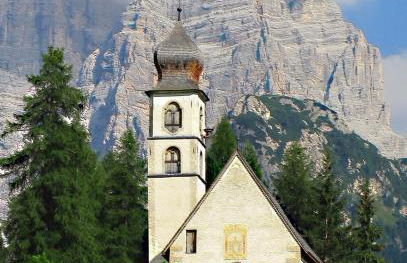 Petit Arnica - Foto 16