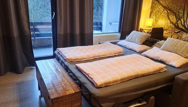 Studio in Winterberg Near Ski Slopes - Foto 3, Habitación