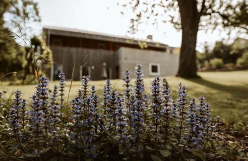 Ferienhaus TierbachLodge - Foto 51