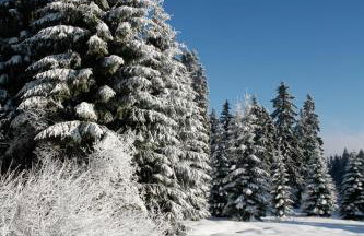 Landhaus am Rennweg - Foto 22
