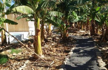 Finca Don Victor - Foto 4