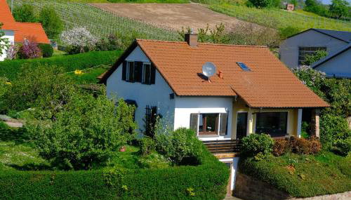 Ferienweingut Wissing Wohnung Frieda - Foto 5, Garden