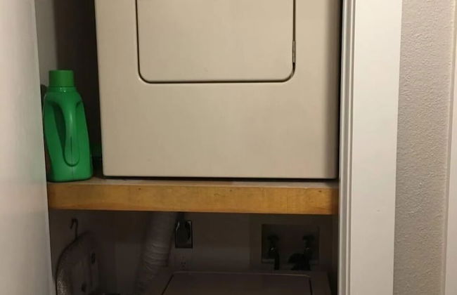 The Bear Den - Foto 24