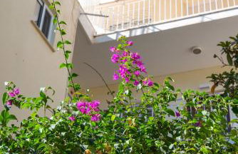 Τerpsichoris Sea View Apartment - Foto 64