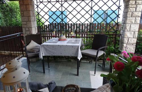 App Sorgo - Photo 31