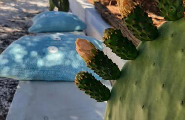 Casa Trullo Bianco: Casa Vicino - Foto 22