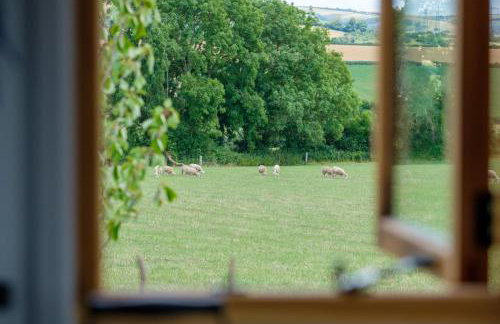 Honey Bee - Comfortable luxury shepherds hut with hot tub - Foto 36