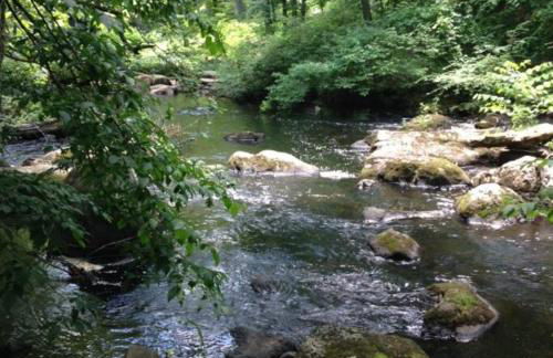 Midcentury Modern ZenHouse Sculptor Studio - Foto 51