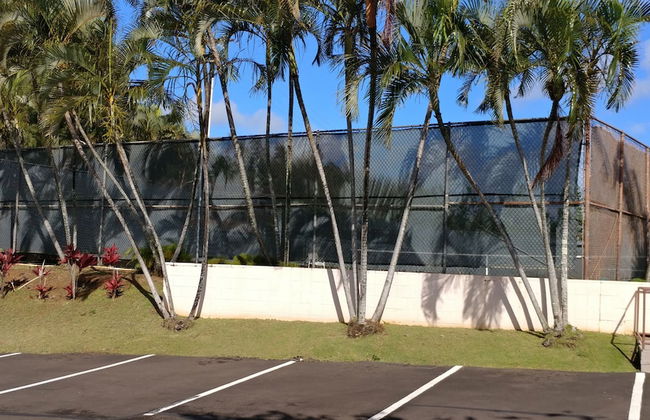 Banyan Harbor Resort - Foto 68