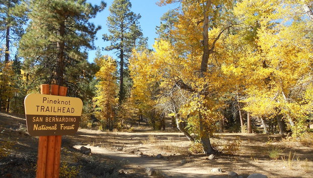 Fox Farm Manor - Foto 5, Senderismo