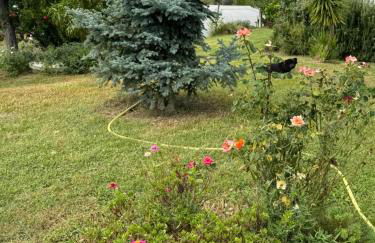 Casa Vacanze Cerreto 1 - Foto 11