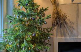 The Hideaway - Foto 2