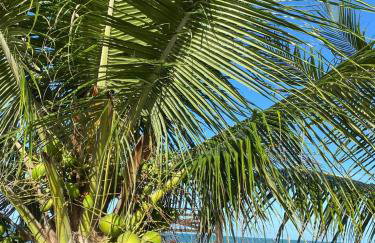 Espaço inteiro Casa de Praia no Brasil Pernambuco - Foto 28