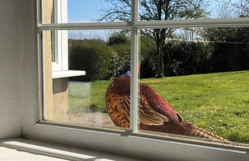 The Farmhouse, Fowey - Foto 19