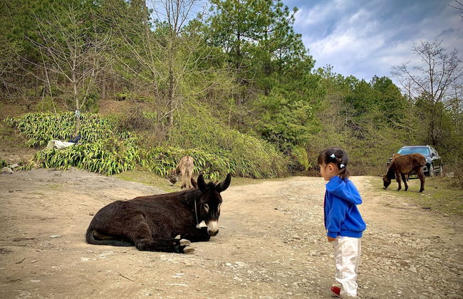 DALI Jade house - Foto 34