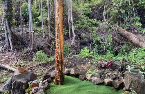 Majestic Banya tree cabin - Foto 25