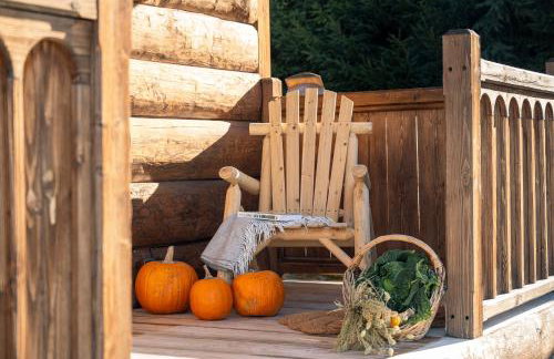 Leśna Chatka - Foto 2