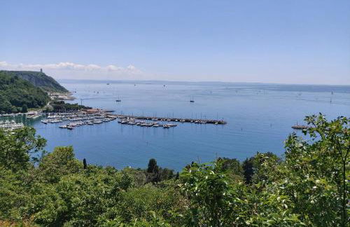 Residence Oliveto Mare Carso - Foto 51