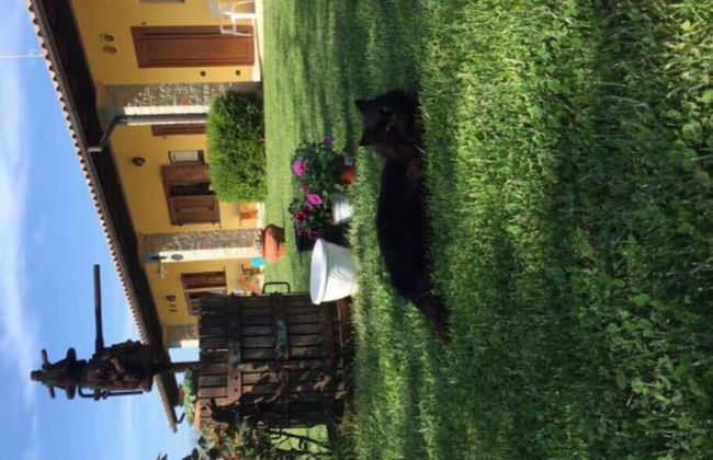 Agriturismo La Noce - Foto 11