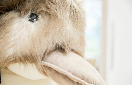 Hillock's Farm Cottage, luxury - Foto 25