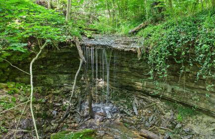 Pole Barn - Rustic 1BR Family Retreat with Open Views - Foto 59