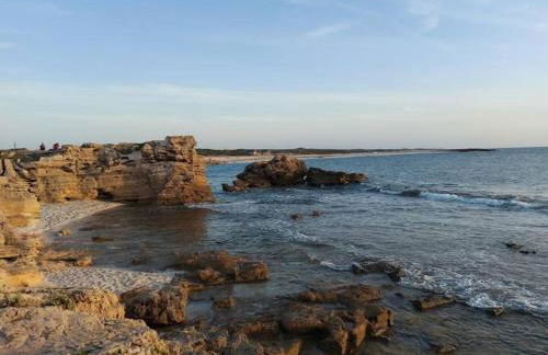 Home Green - Foto 48