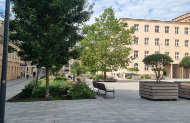 Sienkiewicza 59 Park Apartment - Foto 5