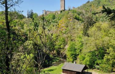 Eifel-FeWo by Salzburger - Foto 12