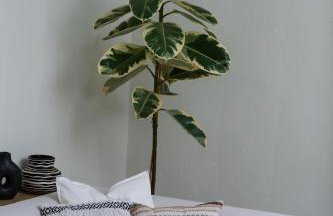 To Patriko - Foto 36