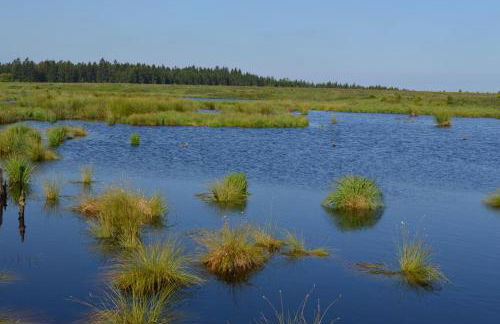 Ferienhaus Kirschblüte - Foto 41