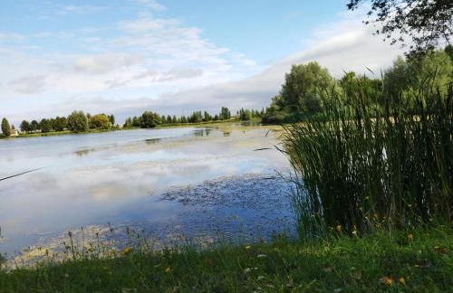 Maison proche Zoo de Beauval - Photo 6