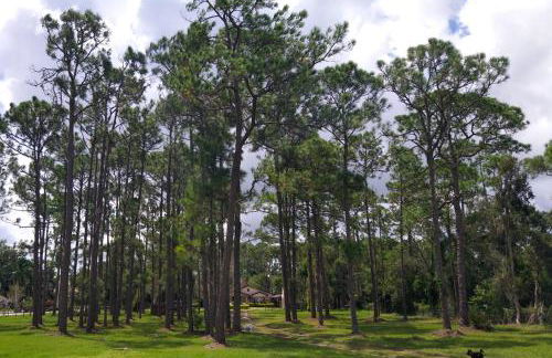 The Little Retreat, Solo, Couples & Small Families - Foto 17