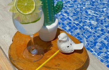 Pousada Monte das Serras - Foto 10