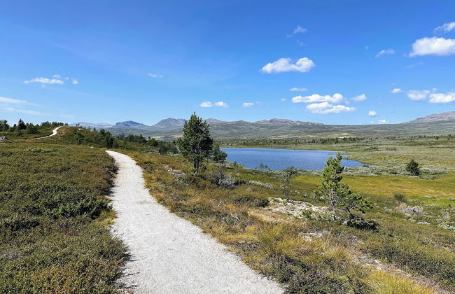 Modern Mountain Cabin - 3 Bedrooms - Sleeps 7 - Foto 43