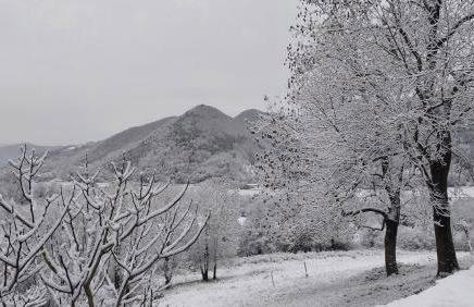 La caseta de Mas Salelles - Photo 24