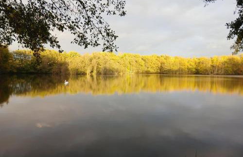 écurie de Saint Bale - Foto 24