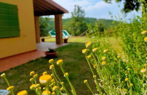 Villa con Piscina 10 Posti Letto, L'Oliveta Di Rivalto - Foto 24