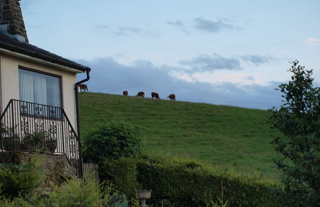 Cobden View - Foto 18