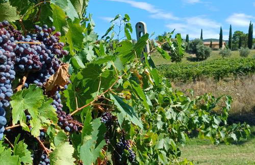 Agriturismo La Bulletta - Photo 80