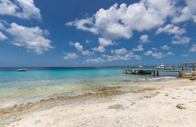 Blachi Koko Apartments Bonaire - Foto 41