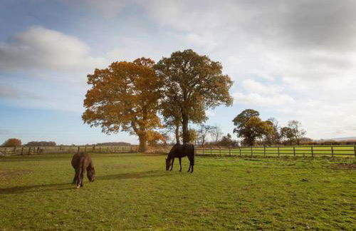 Deerholme Cottage - Foto 26