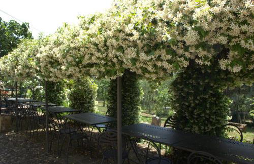 Il Poggio di Teo - Foto 39