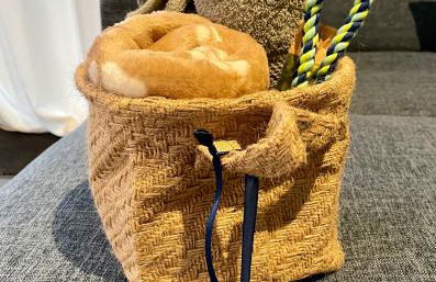 Feriendomizil Möhne I Hundefreundlich I Sauna I Seenähe - Foto 16